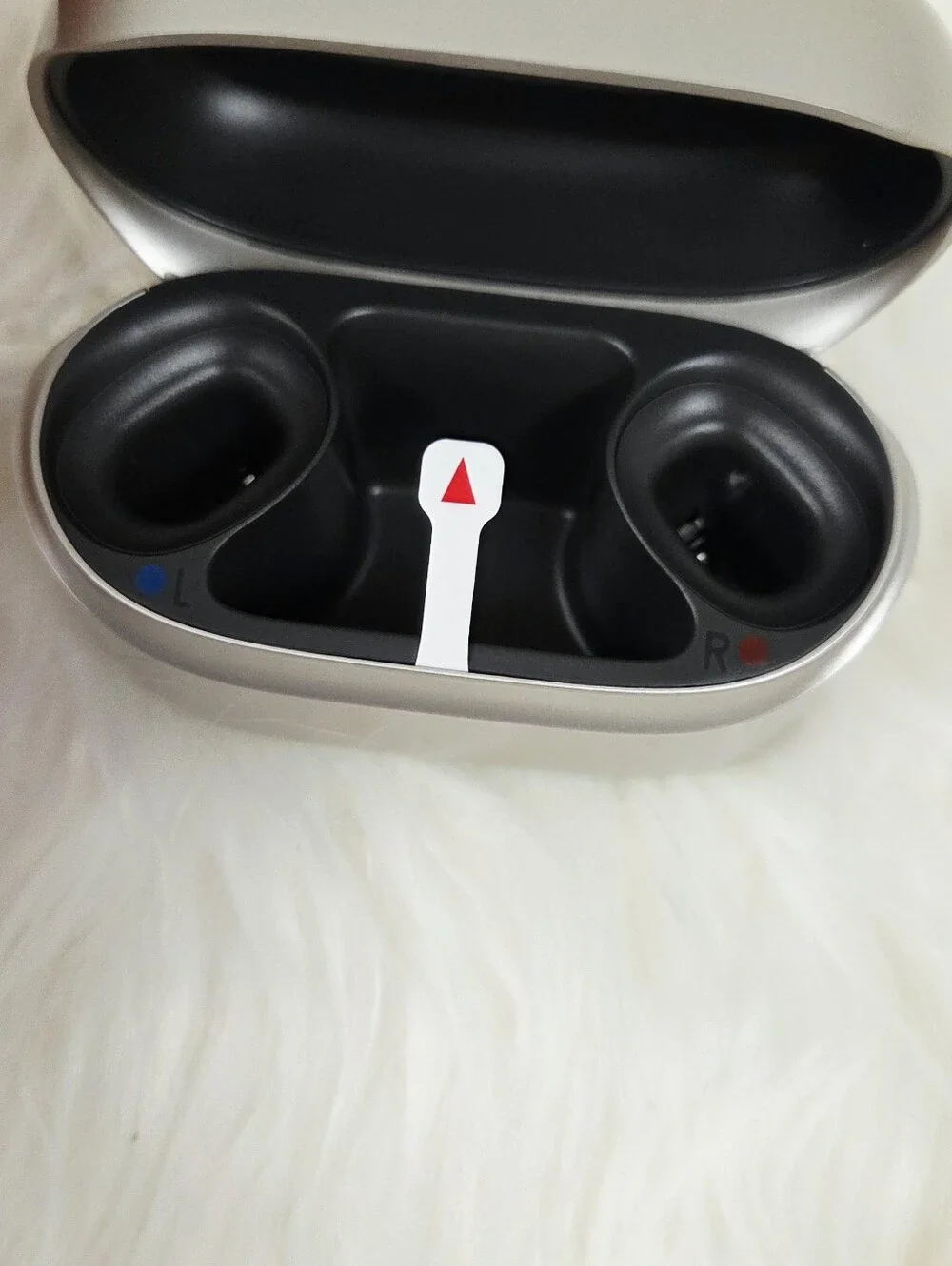 Phonak Ricsph1 hearing Aid Charging Case New In Box $150